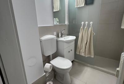 Apartament renovat ,mobilat, utilat nou in Grigorescu - 13