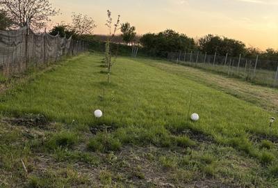 Spațiu comercial, în Ulmi - 1