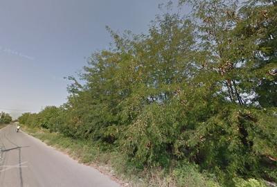 Teren intravilan Snagov pozitionat vizavi de centrul hipic Arcadia! - 10