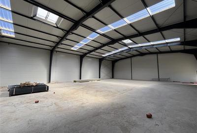 Spațiu industrial, de 1,380 mp, în Central - 9