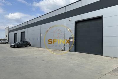 Spațiu industrial, de 760 mp, în Mogoșoaia - 1