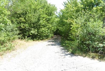 Teren intravilan in Boldesti Scaeni, Prahova, 7410 mp - 6