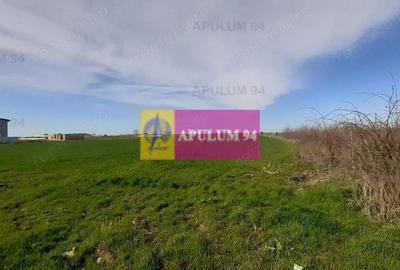 Teren 450mp pentru construc?ie casa - 5