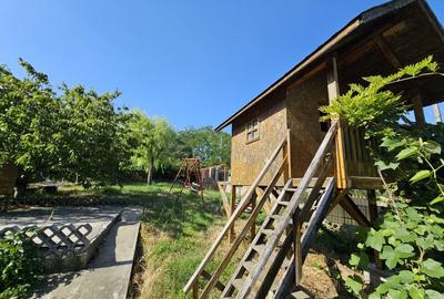 Vila superba de vanzare in Vintila Voda, Buzau D+P+1 si anexe - 42