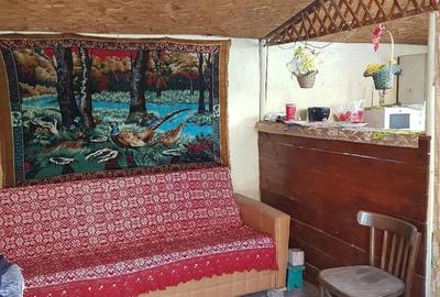 Casă cu 3 camere cu Teren 1400 Mp în Șicula - 1