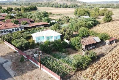 Casa de vanzare plus 2500 m patrati teren in Melinesti,Dolj - 3