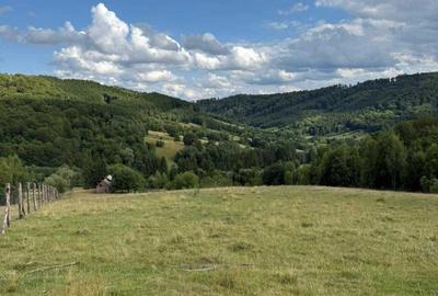 Teren de 21846 mp, în Exterior Vest - 2