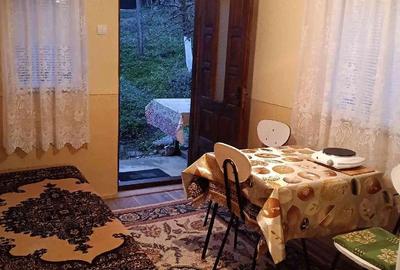 Casă cu 3 camere cu Teren 2800 Mp în Boțești - 8