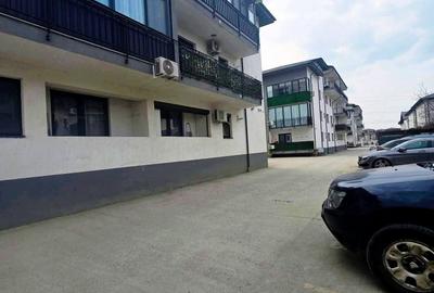 Apartament cu 2 camere decomandat, mobilat în Dobroești - 6