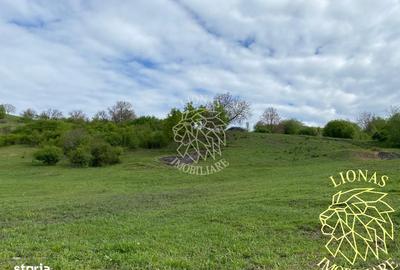 Spațiu comercial, în Nepos - 1