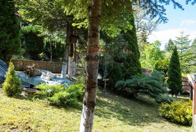 Oferta - vanzare pensiune 10 camere si casa de vacanta, Slanic Prahova - 27