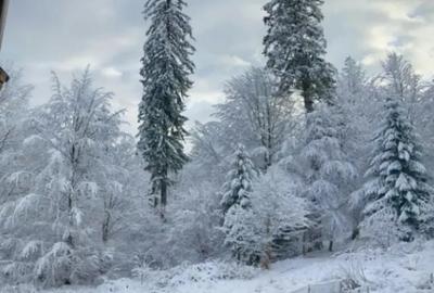 Apartament cu 3 camere semidecomandat în Central - 6