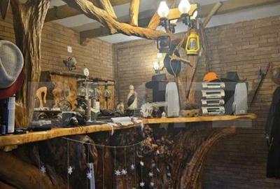 Casa individuala, 7 camere 3500 mp teren, zona exterior EST - 20