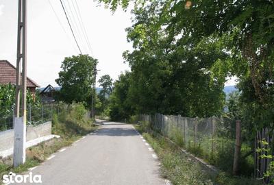 Teren de 5844 mp, în Valea Danului