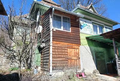 Casă cu 3 camere în Muntele Băișorii - 9