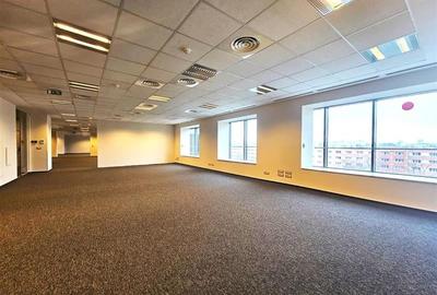 Riverside Tower - spatii langa metrou cu preturi de la 9 EUR + TVA - 2