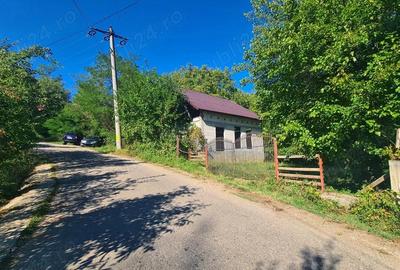 Casa la ro?u + 4391 mp teren de vanzare in comuna Valea Danului, sat Borobane?ti, jude? Arge?. - 6