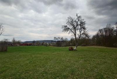 Teren de 9370 mp, în Țebea - 11