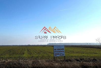 Teren Construcții intravilan de 4927 mp, în Dărmănești - 1