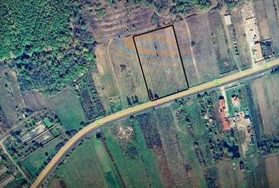 Teren de 5000 mp, în Exterior Vest - 3