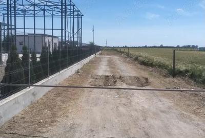 Teren de 520 mp, în Suraia - 3
