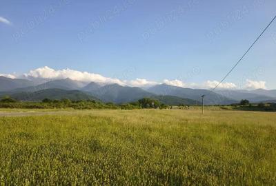 Teren de 1800 mp, în Cârțișoara - 4