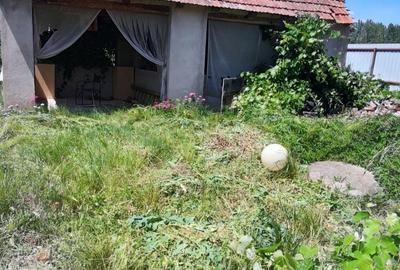 Casă cu 2 camere în Cheșa - 2