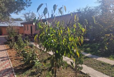 Casa de Vanzare in orasul Chitila - 2