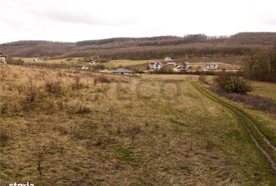 Spațiu comercial, în Betfia