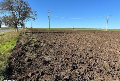 Teren de 8677 mp, în Central - 2