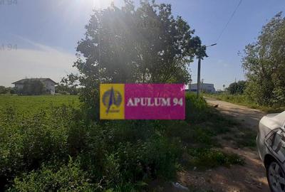 Teren de 5000 mp, în Copăceni - 5