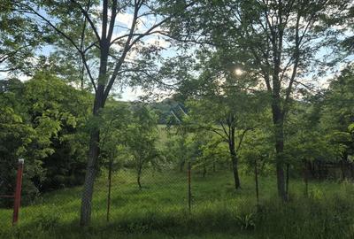 Teren Construcții intravilan de 1201 mp, în Vest - 3