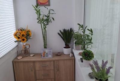 Apartament cu 3 camere, 53 mp, zona Malu Rosu - 13