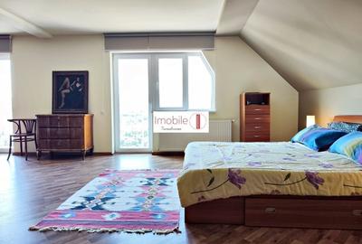 Vila panoramica Gruia - 17