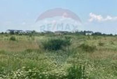 DE VANZARE Teren intravilan 600mp Drumul Piscul Mosului SISESTI - 15