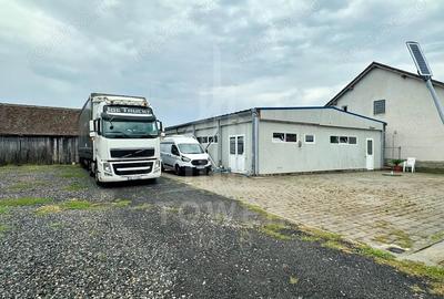 Spațiu comercial, de 500 mp, în Cristian - 1