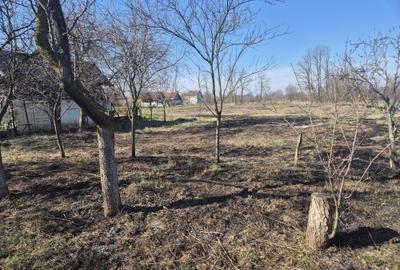 Casă cu 3 camere în Adea - 5