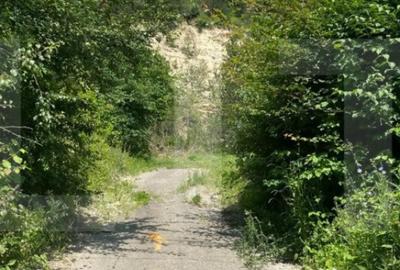 Teren de 743 mp, în Baciu