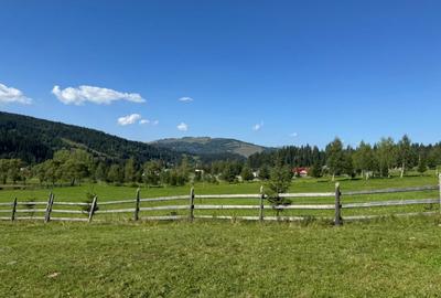 Vanzare 33400 parcelat- 18 loturi - Plaiul Sarului la sosea- microdezvoltare - 3