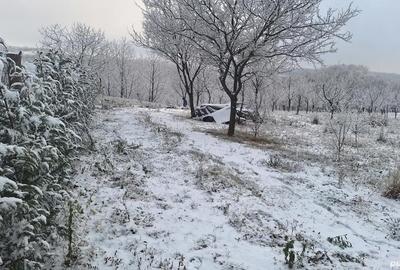 Teren de 5499 mp, în Poiana Tășad - 4