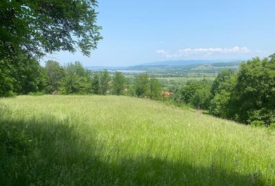 Teren de 4800 mp, în Clopotiva - 1