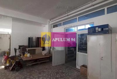 Spațiu comercial, de 225 mp, în Rahova - 6