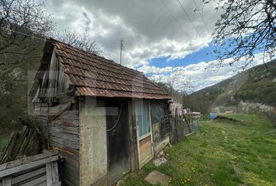 Casă cu 4 camere cu Teren 12186 Mp în Boiu - 9