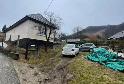 Casă cu Teren 6000 Mp în Tăuții-Măgherăuș - 7