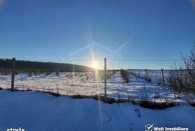 Spațiu comercial, în Berchieșu - 8