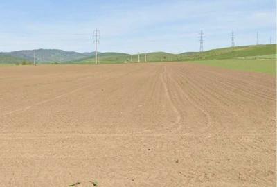 Spațiu comercial, în Calea Romanului - 2