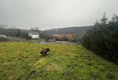 Teren de 1998 mp, în Central