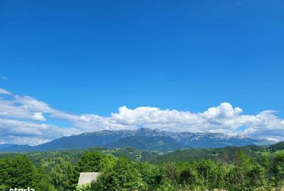 Spațiu comercial, în Moieciu - 2