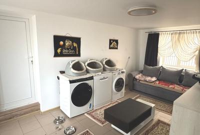 Casa confortabila si spatioasa de vanzare in Frasin - ideala pentru familii - 40