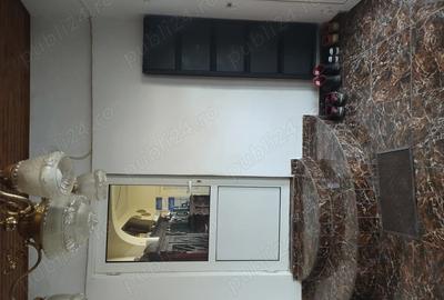 Casă cu 3 camere cu Teren 5700 Mp în Viile Satu Mare - 8